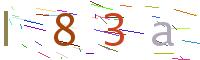 Verify Code