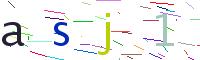Verify Code
