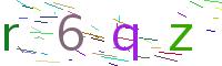 Verify Code