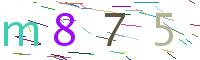 Verify Code