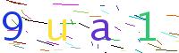 Verify Code