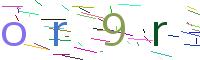 Verify Code