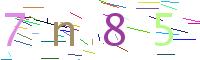 Verify Code