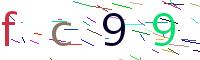 Verify Code