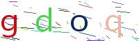 Verify Code