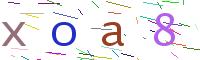 Verify Code