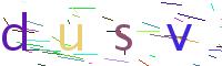 Verify Code