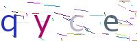 Verify Code